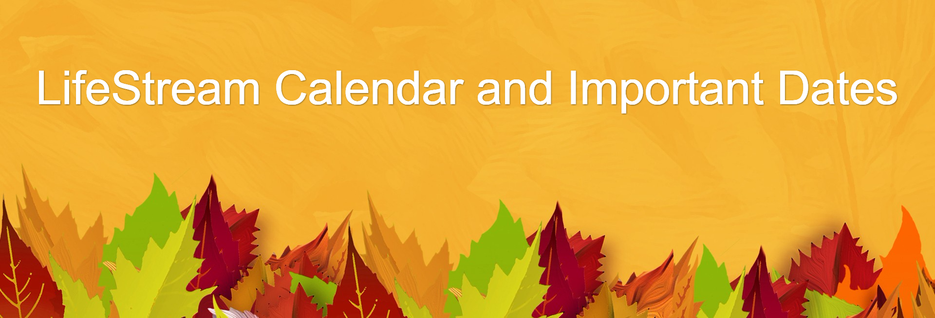 Church Fall Kickoff Autumn Leaf Website Banner